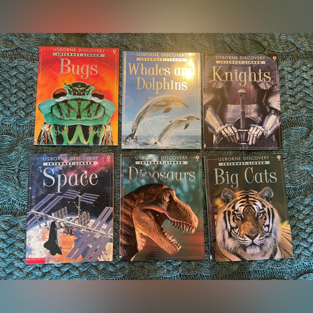 Usborne Discovery Internet Book